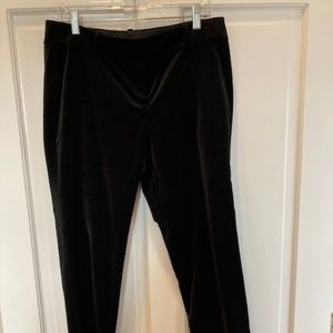 Ann Taylor Velvet ankle pant